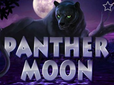 Panther Moon